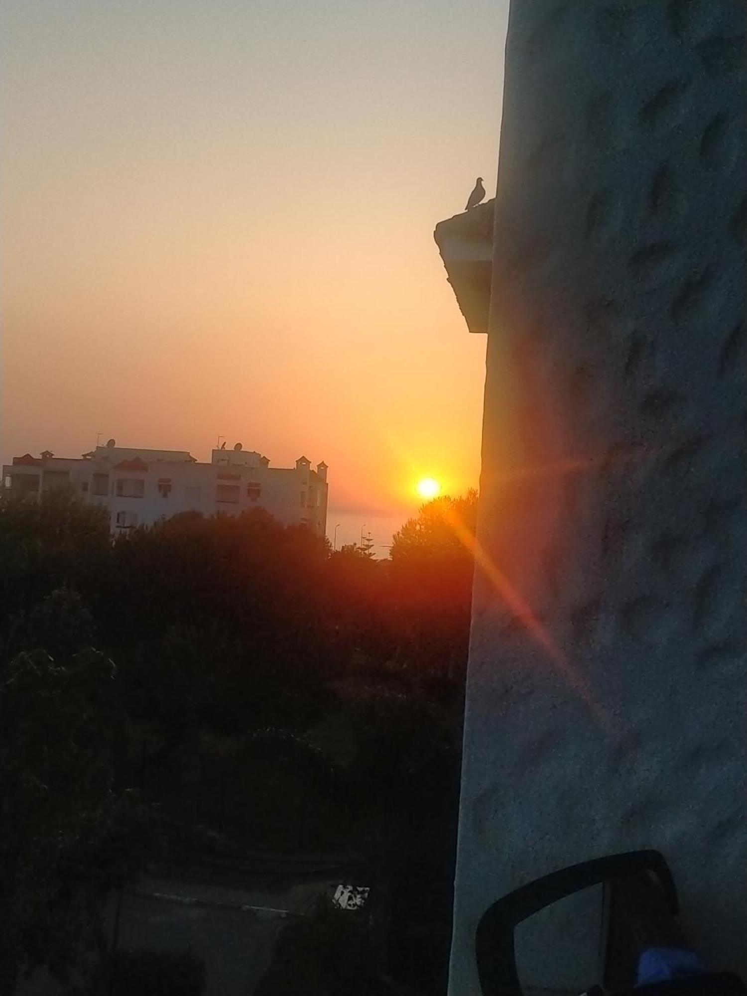 Marina Golf Apartment *